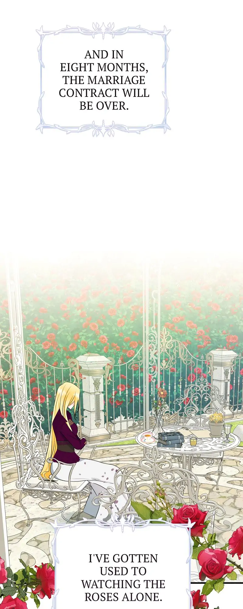 32997773 800 2000 152744